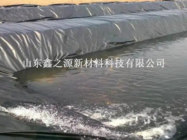 魚塘防滲膜的選擇需要考慮哪些要求？