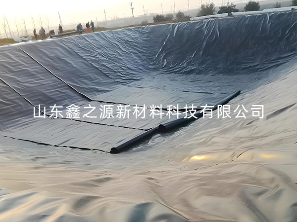 選擇防滲土工膜進行小龍蝦養(yǎng)殖有哪些要點技巧？